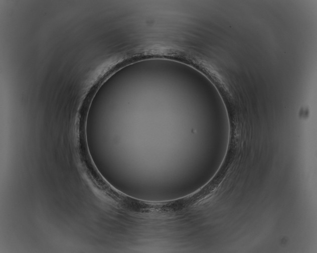 X0000091640678200708231159