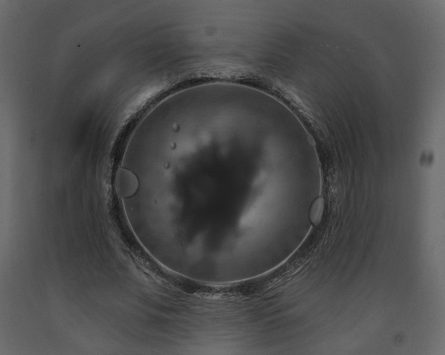 X0000091640679200708231159