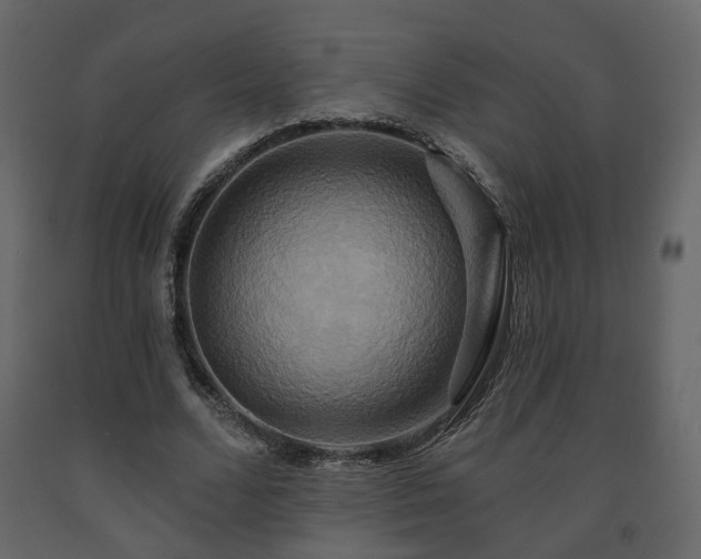 X0000091640680200708231159