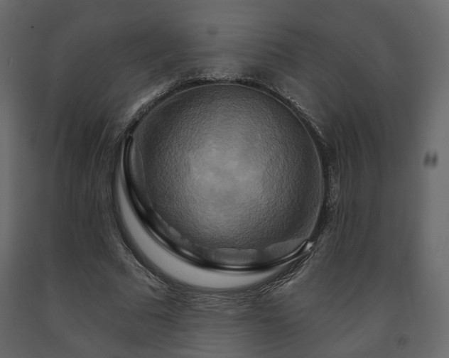 X0000091640681200708231159