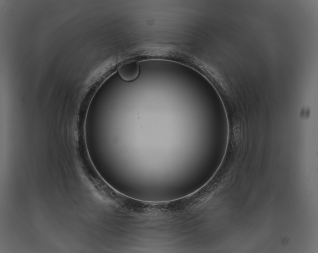 X0000091640682200708231159