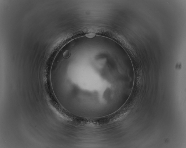 X0000091640683200708231159