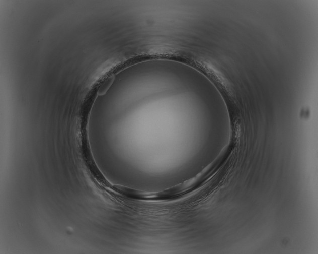 X0000091640684200708231159