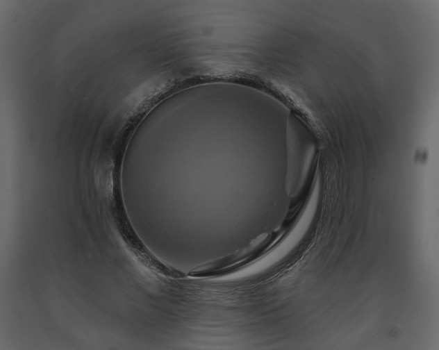 X0000091640685200708231159