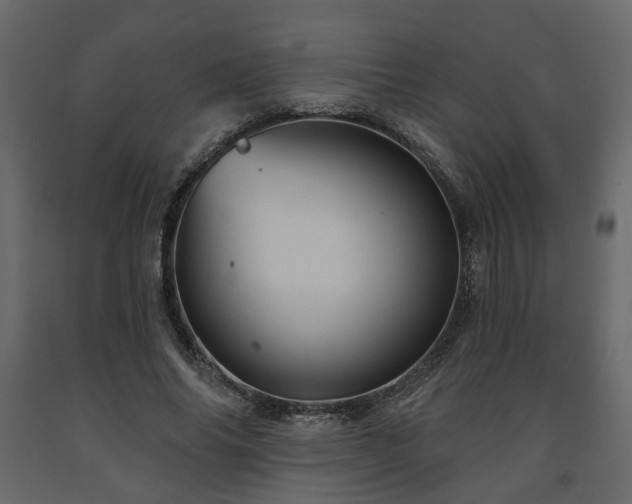 X0000091640686200708231159