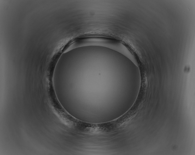 X0000091640688200708231159