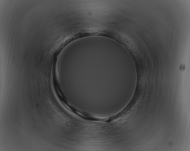 X0000091640689200708231159