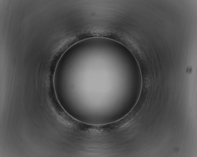 X0000091640690200708231159