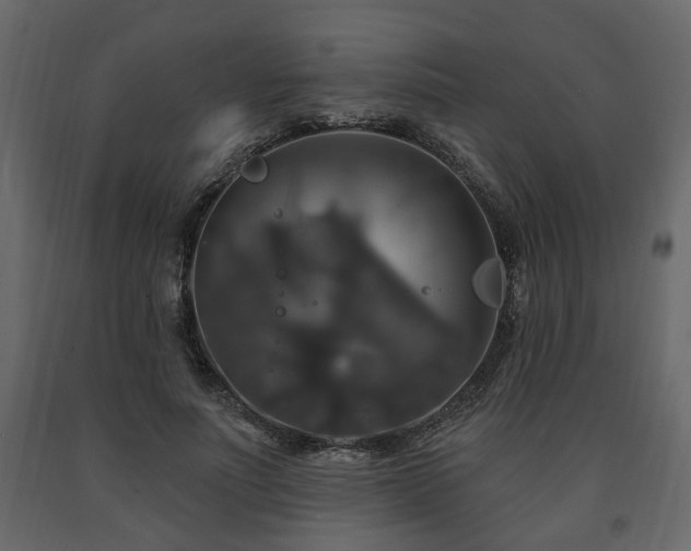 X0000091640691200708231159