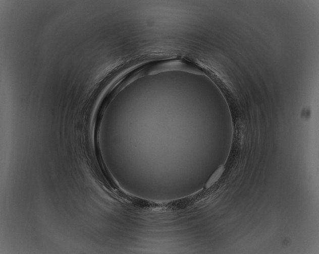 X0000091640692200708231159