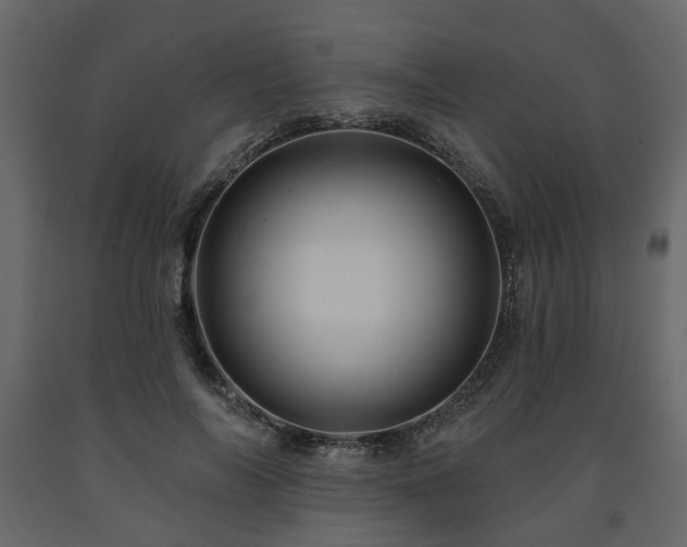X0000091640694200708231159