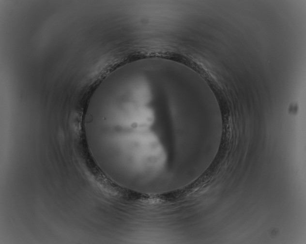 X0000091640695200708231158