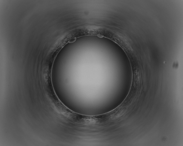 X0000091640698200708231158