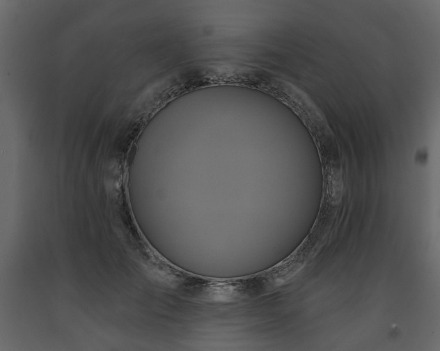 X0000091640701200708231158