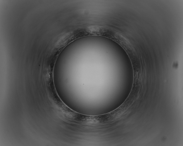 X0000091640702200708231158