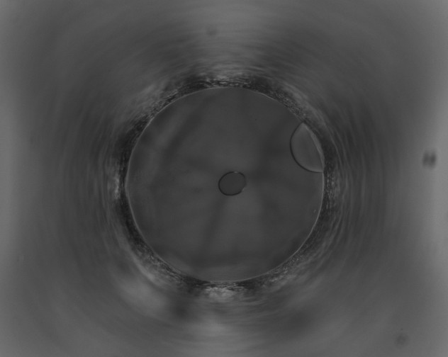 X0000091640703200708231158