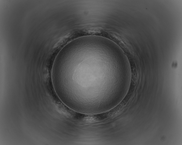 X0000091640704200708231158