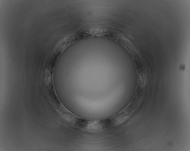 X0000091640705200708231158