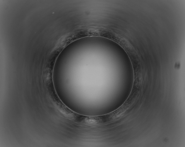 X0000091640706200708231158