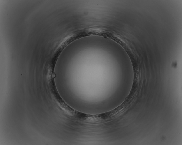 X0000091640708200708231158