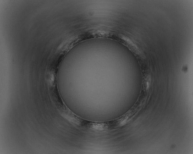 X0000091640709200708231158