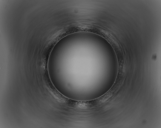 X0000091640710200708231158