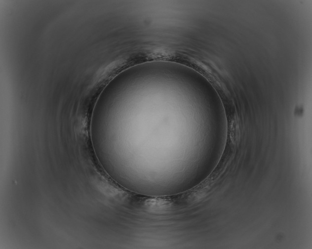 X0000091640714200708231158