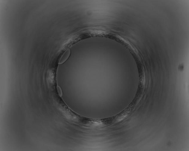 X0000091640715200708231158