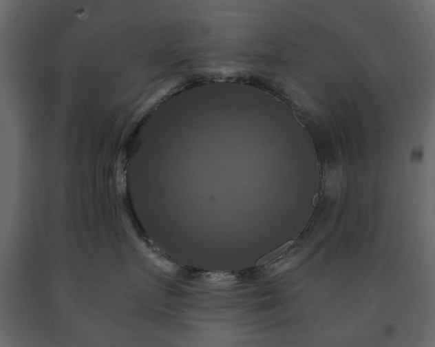 X0000091640719200708231158