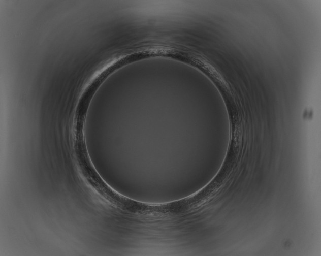 X0000091640722200708231157