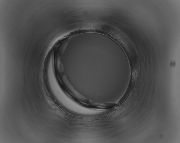X0000091640724200708231158