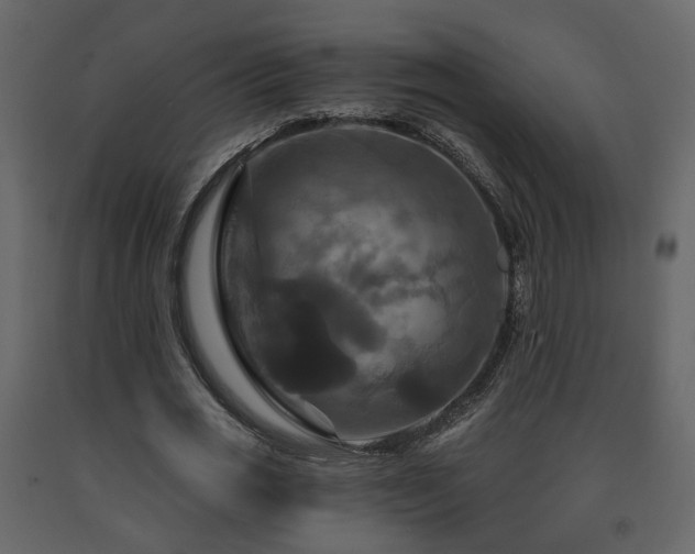 X0000091640725200708231158