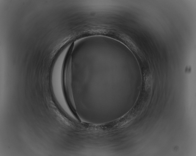 X0000091640729200708231158