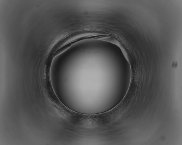 X0000091640731200708231158