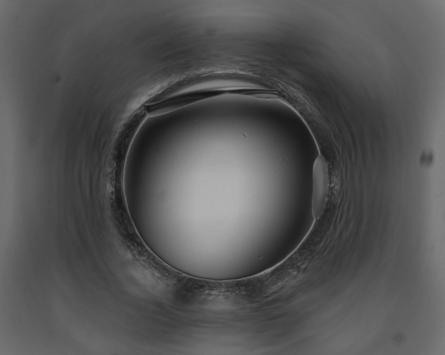 X0000091640732200708231158