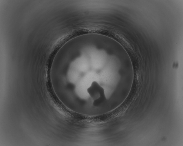 X0000091640733200708231158