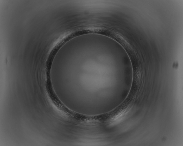 X0000091640734200708231158