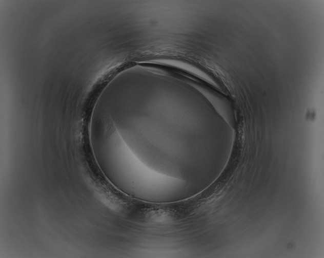X0000091640735200708231158