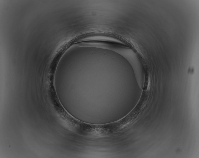 X0000091640736200708231158