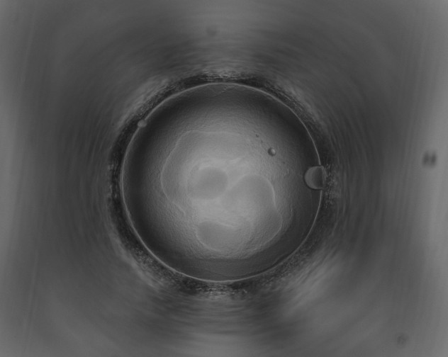X0000091640738200708231158