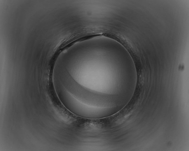 X0000091640739200708231158