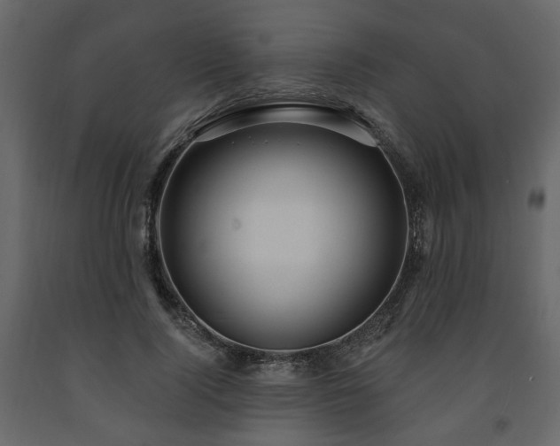 X0000091640740200708231158