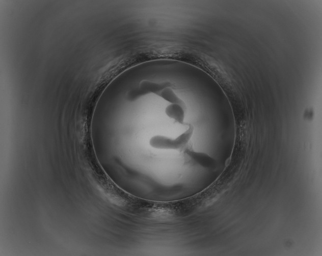 X0000091640741200708231158