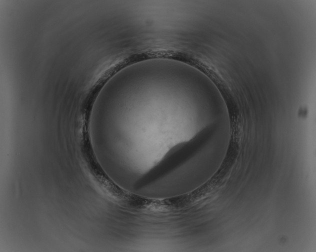 X0000091640742200708231158
