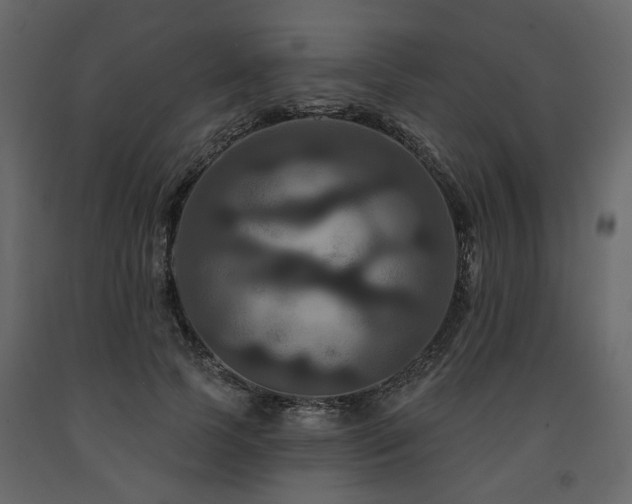 X0000091640745200708231158