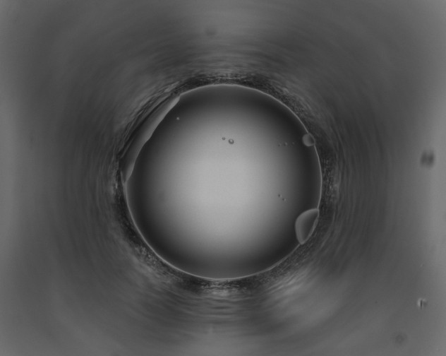 X0000091640746200708231158