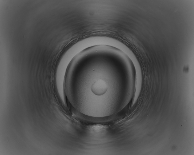 X0000091640748200708231158