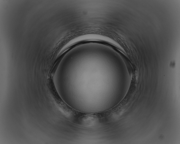 X0000091640750200708231158