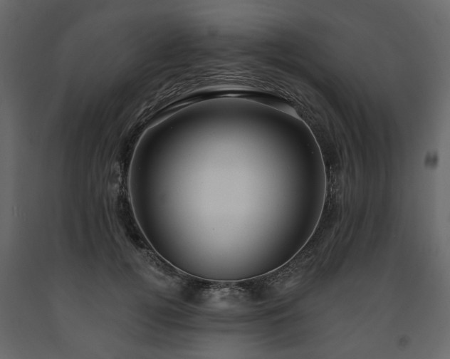X0000091640752200708231158