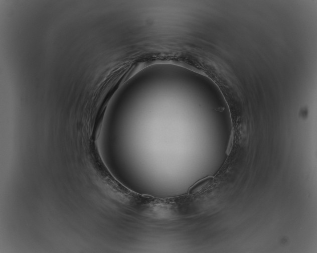 X0000091640756200708231158